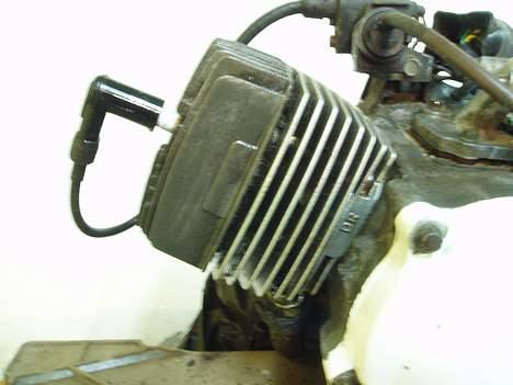 Honda wallaroo ( til salg ) - DEn dejlige DR. racing cyl. billede 2