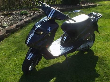 Kreidler Easy Rider billede 6