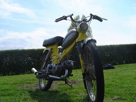 Puch MS50 billede 1