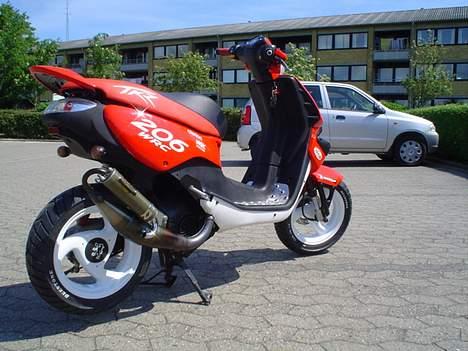 Peugeot TKR WRC 206 #SOLGT# billede 7