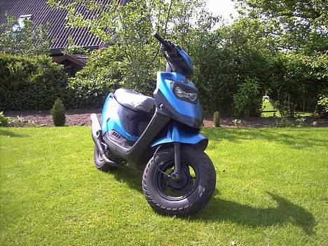 PGO HOT 50  SOLGT - Lige et billed fra hvor scooteren holder i fars have..... =)  billede 3