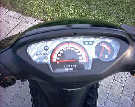 Honda sfx (SOLGT) - ikk nem at se men speedometer står på snart 19000km billede 2