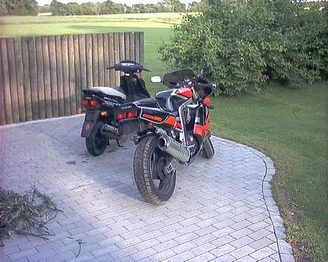 Honda sfx (SOLGT) - storebrors bike billede 3