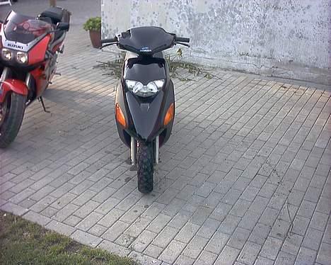 Honda sfx (SOLGT) billede 4