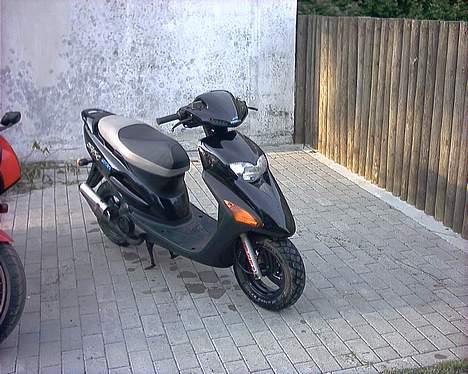 Honda sfx (SOLGT) billede 5