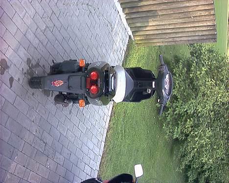 Honda sfx (SOLGT) billede 6