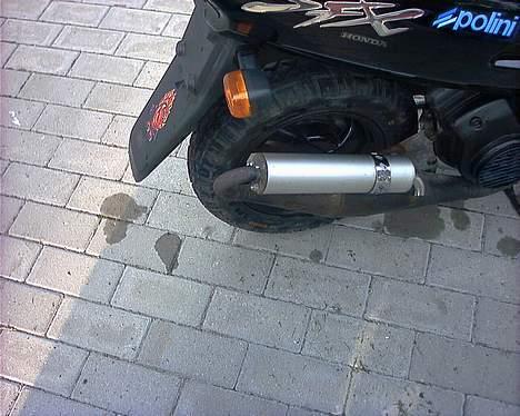 Honda sfx (SOLGT) billede 8