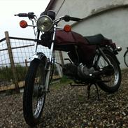 Suzuki Dm50