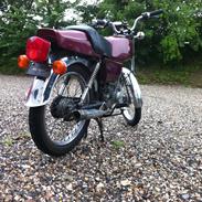 Suzuki Dm50
