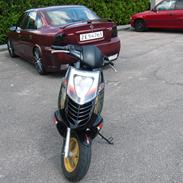 Aprilia Sonic
