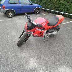 Gilera dna