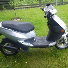 PGO Dr. Big *BANERACER*