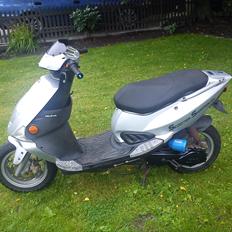 PGO Dr. Big *BANERACER*