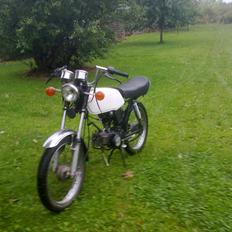 Suzuki  dm 50 samurai
