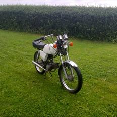 Suzuki  dm 50 samurai