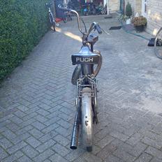 Puch Maxi P (E 50) #FØR#