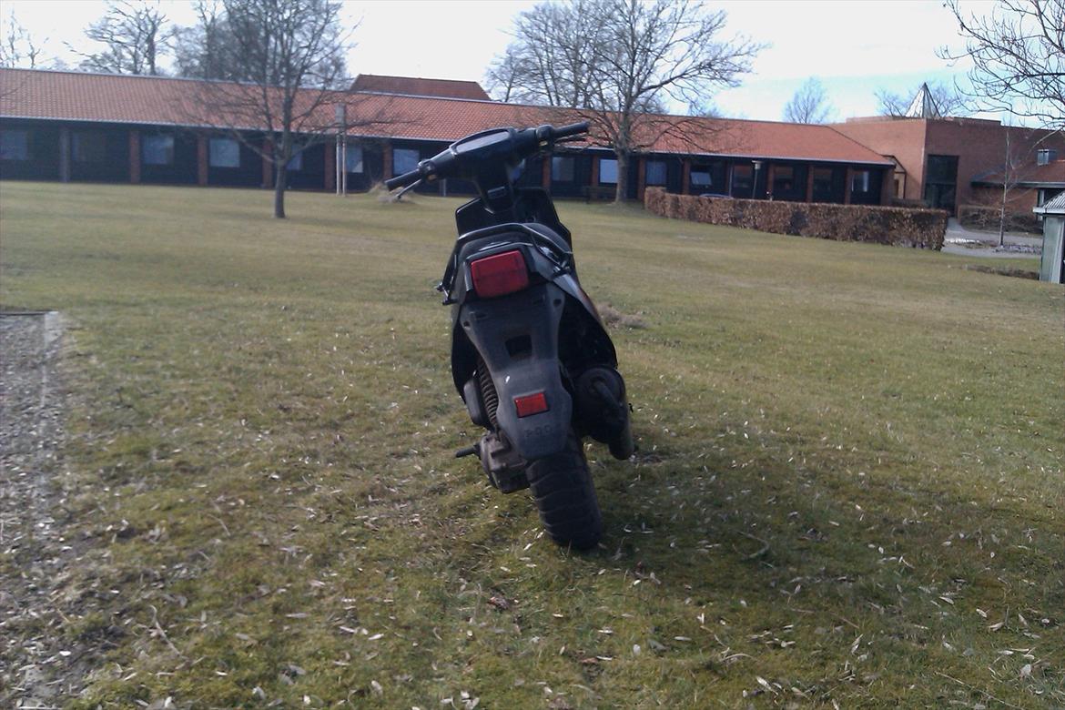 PGO Hot 50 Tonado billede 6