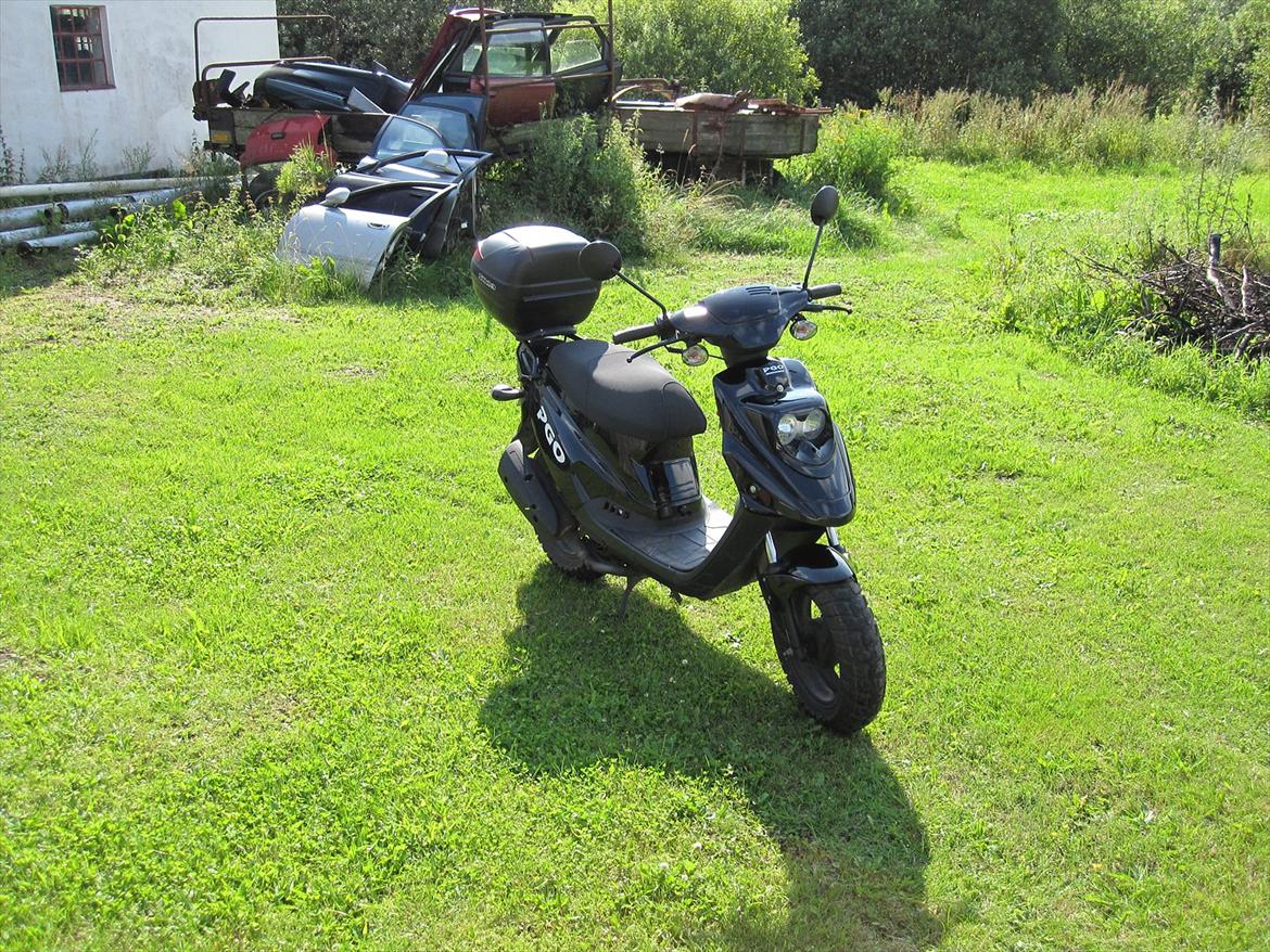 PGO Hot 50 Special model Solgt billede 2