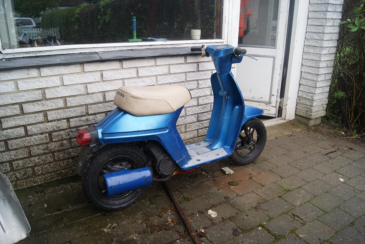 Honda melody billede 7