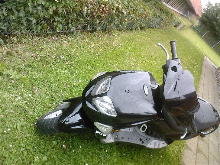 PGO Dr.Big / Benelli   billede 10