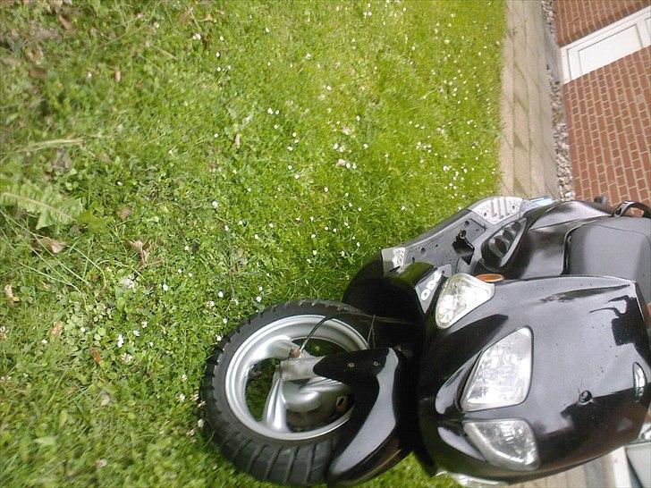 PGO Dr.Big / Benelli   billede 11