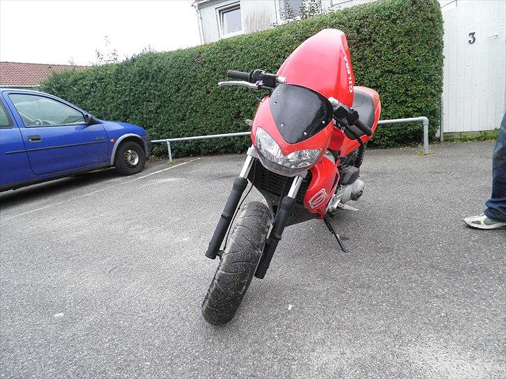 Gilera dna billede 9