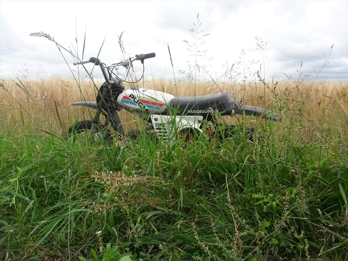 Puch Magnum X  billede 1