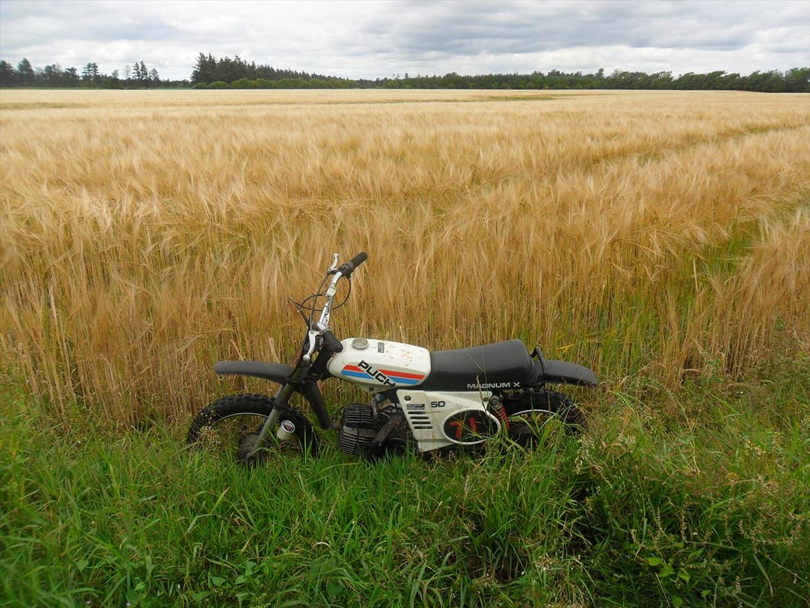 Puch Magnum X  billede 2