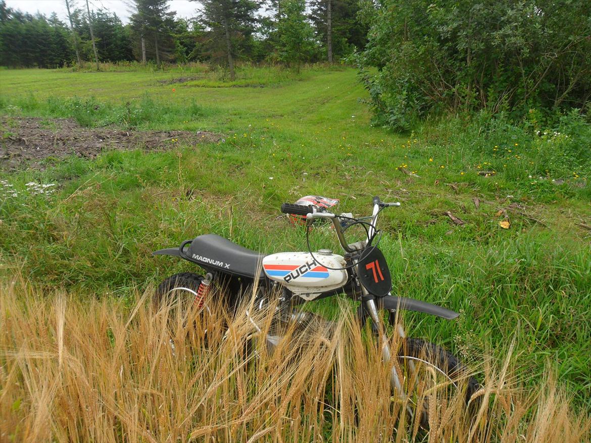 Puch Magnum X  billede 4