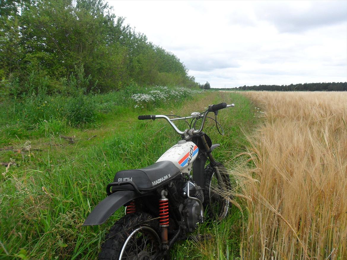 Puch Magnum X  billede 5