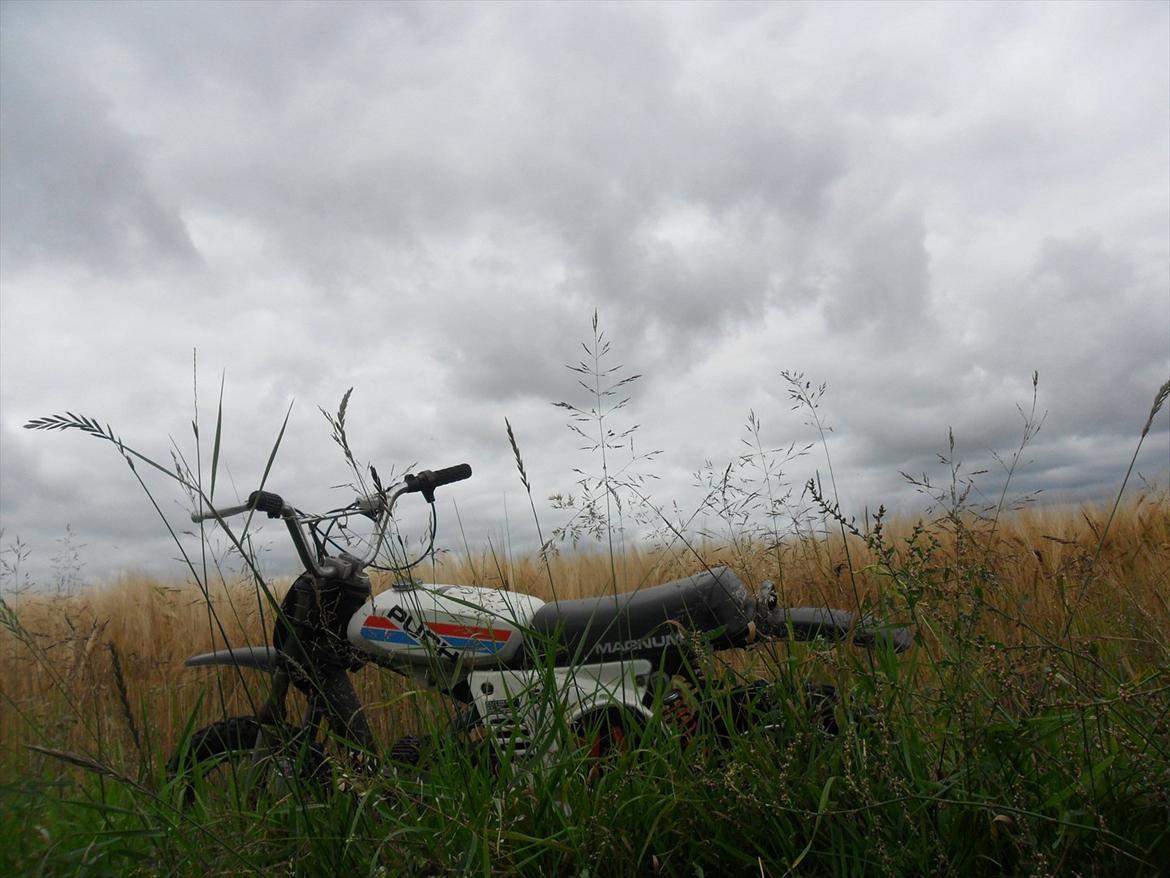 Puch Magnum X  billede 8