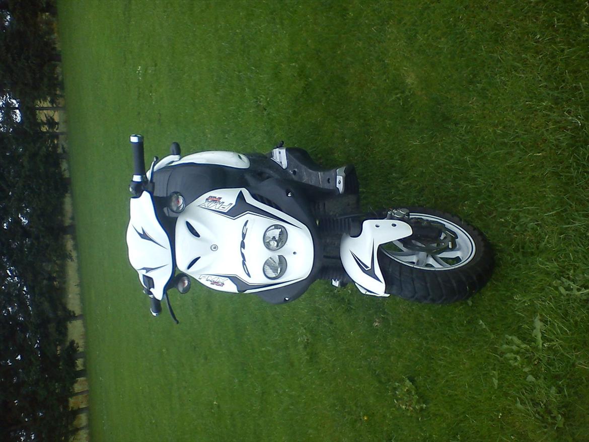 PGO pmx sport billede 2