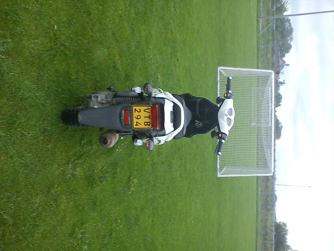 PGO pmx sport billede 4