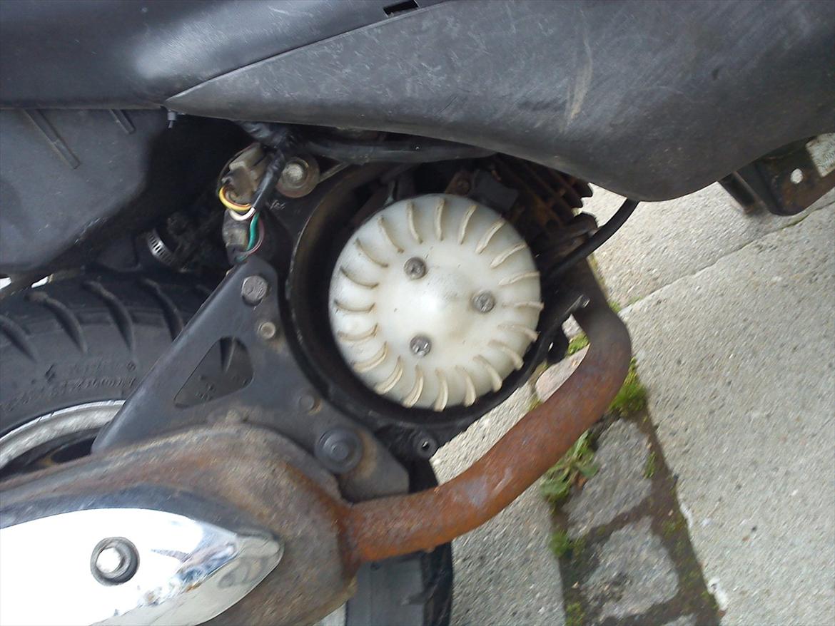 Siamoto birdie 50 - fejl venstre ( skal have nyt blæser skjold ) billede 7