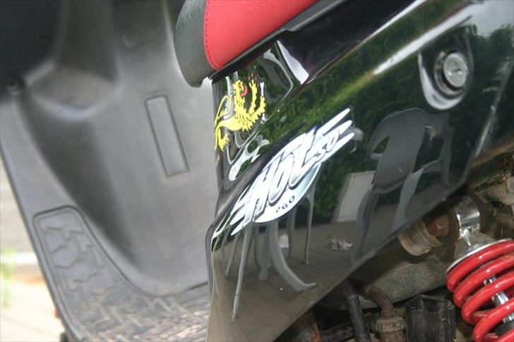 PGO Hot 50 billede 15