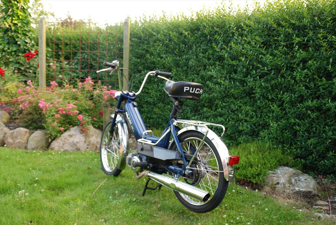 Puch Maxi K  billede 3