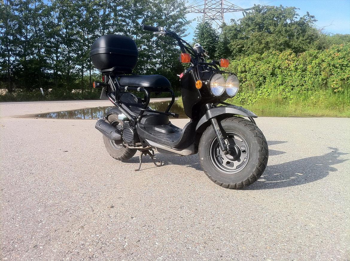 Honda Zoomer billede 5