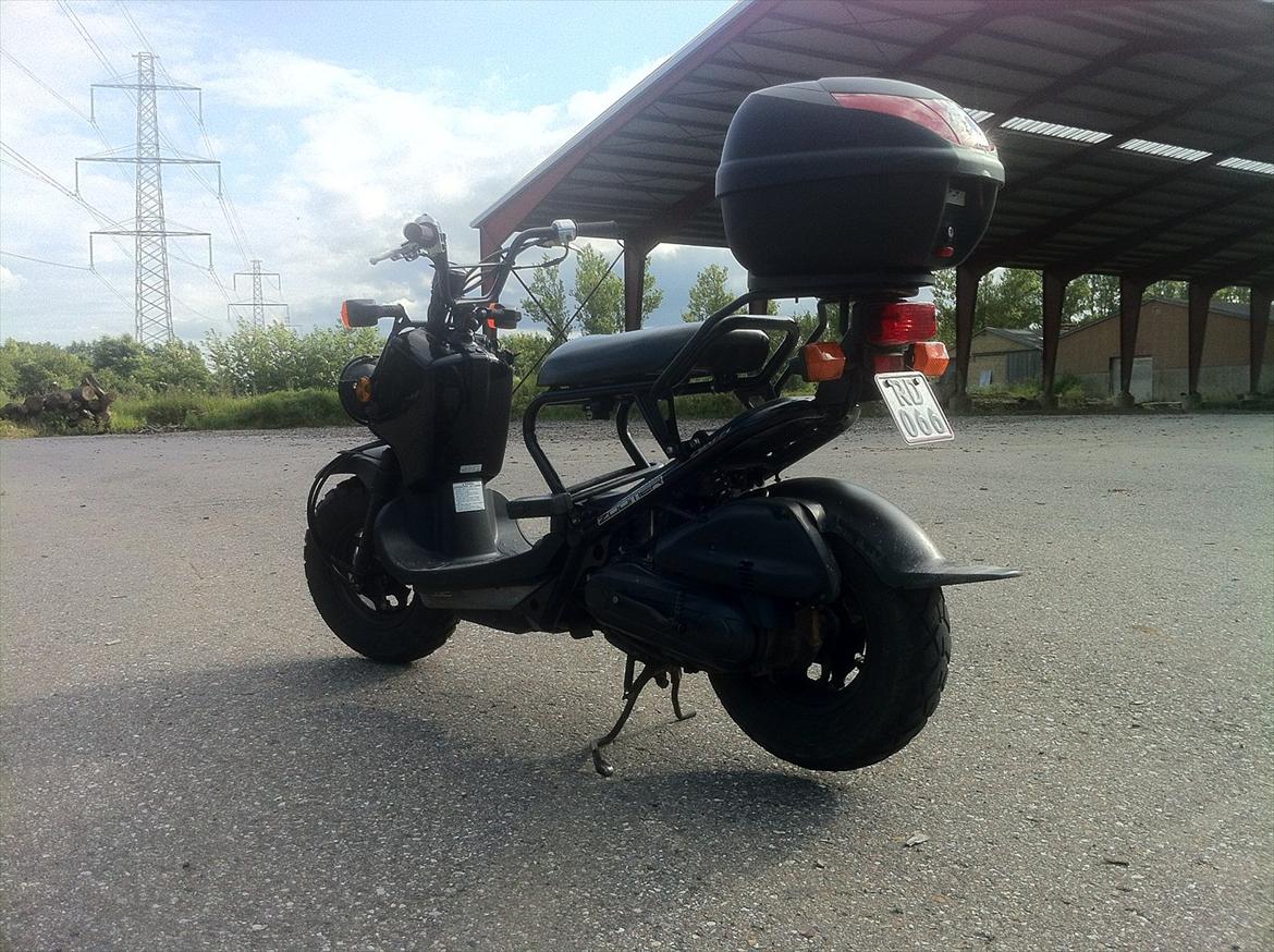 Honda Zoomer billede 3