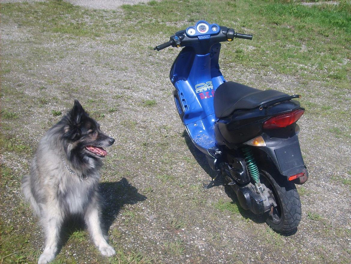 Peugeot speed fight 2  billede 12