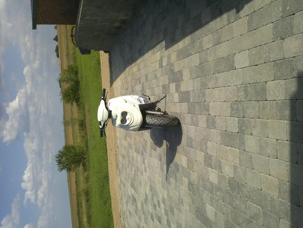 PGO hot 50 [ Tidligere scooter] billede 2