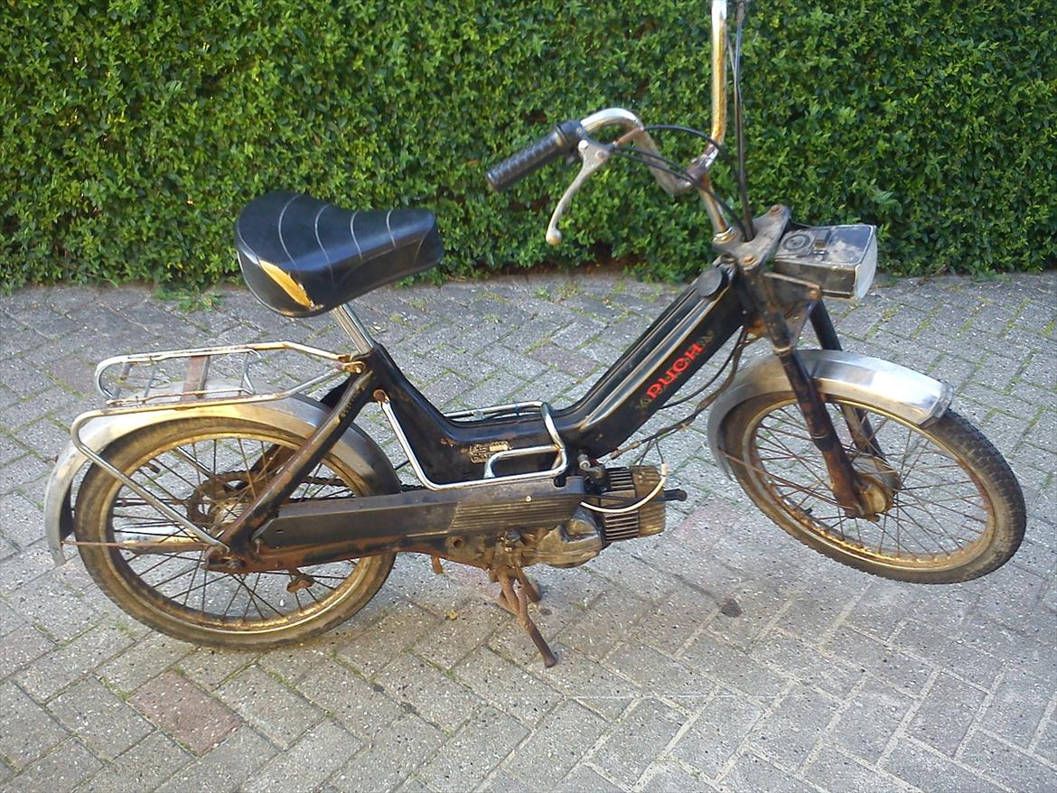 Puch Maxi P (E 50) #FØR# billede 1