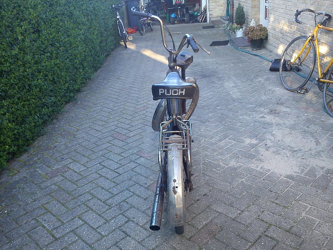 Puch Maxi P (E 50) #FØR# billede 2