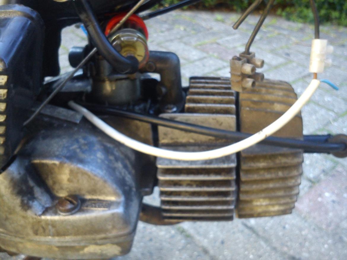 Puch Maxi P (E 50) #FØR# billede 5