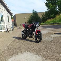 Aprilia Rs 50 Streetfighter SOLGT