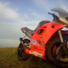 Aprilia Rs50 73,5ccm