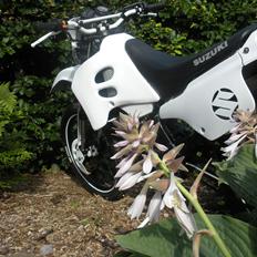 Suzuki Rmx - Til salg !