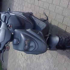 PGO Hot 50 [ Tilsalg ]