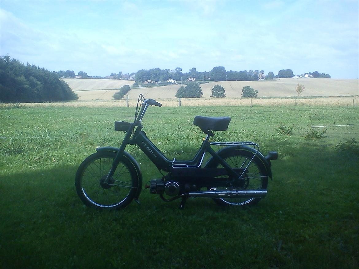 Puch Maxi K *solgt* billede 6