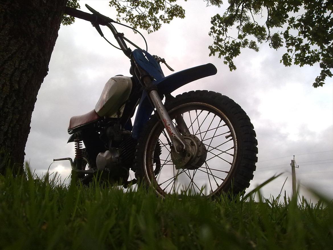 Puch Rough Rider billede 4