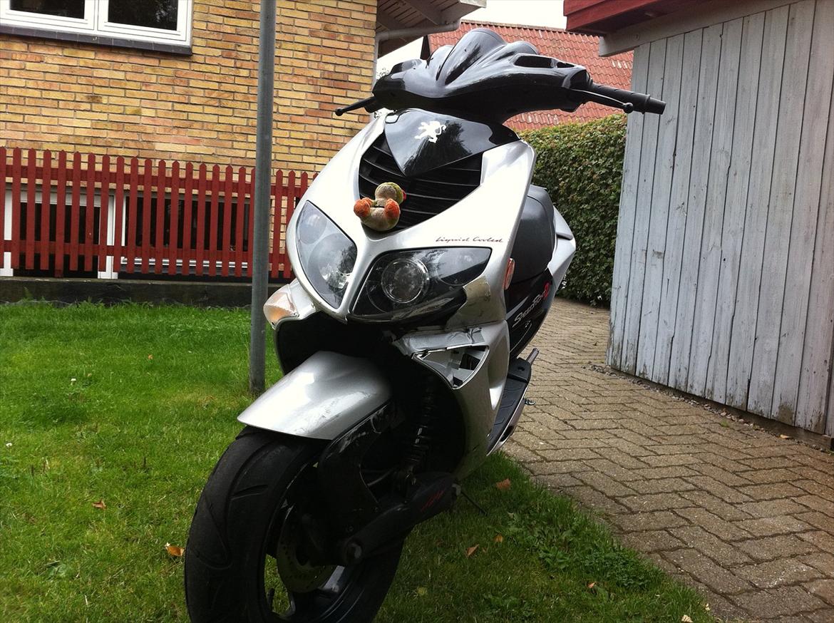 Peugeot speed fight 2 billede 1